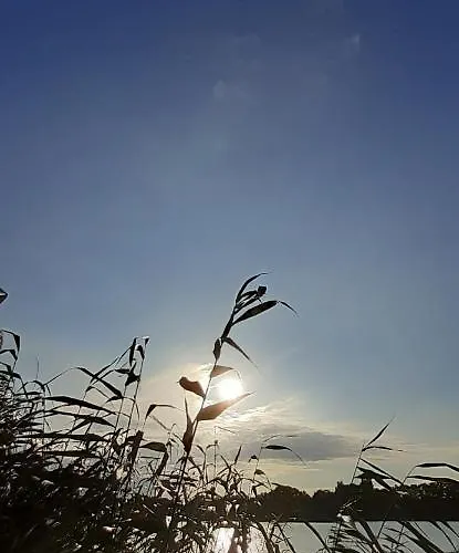 Feriehus Idylle Am *